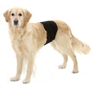 KARLIE fascia cane maschio...