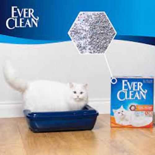 Ever Clean Lettiera Gatto Litterfree Paws 1