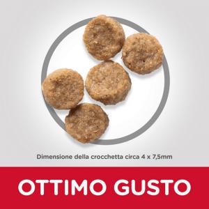 Hill's Cane Mature 7+ Mini Pollo 2
