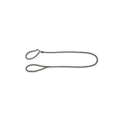 Guinzaglio Cane Maxi Safe 170cm x12mm...