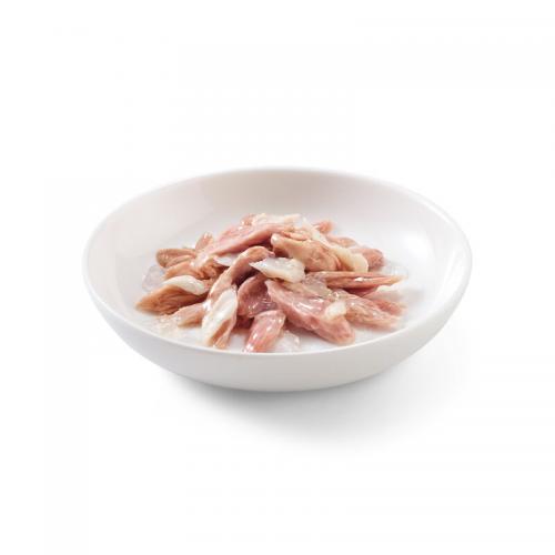 Schesir Gatto Jelly Tonnetto con orata 85 gr 2
