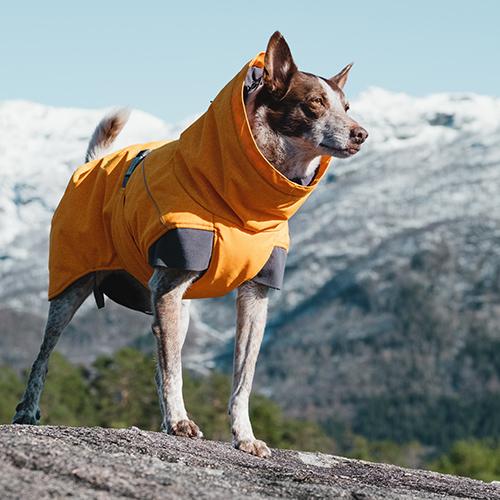 Hurtta Cane Giacca Expedition Parka Mandarino