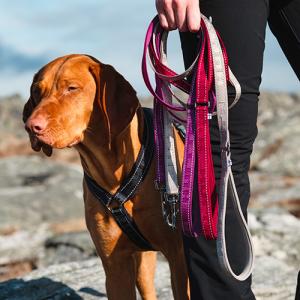 Hurtta Cane Guinzaglio Casual 20mm Rosso Sottobosco