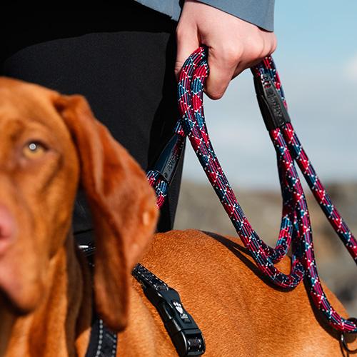 Hurtta Cane Guinzaglio Casual ROPE Rosso Sottobosco/Blu Fiume