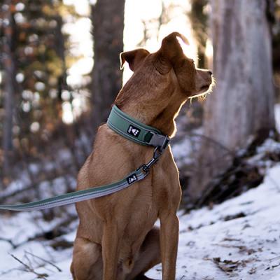 Hurtta Cane Guinzaglio Weekend Warrior ECO Rosa Canina