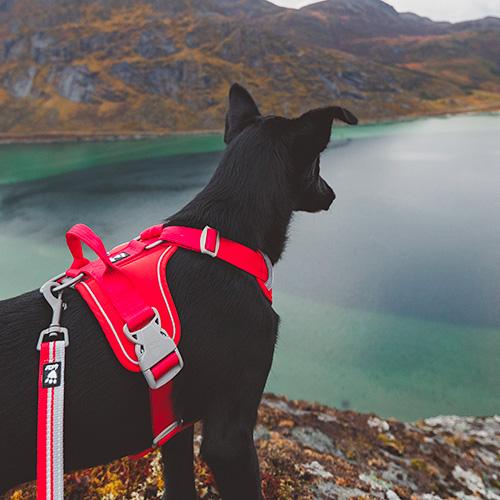 Hurtta Cane Guinzaglio Weekend Warrior ECO Rosa Canina