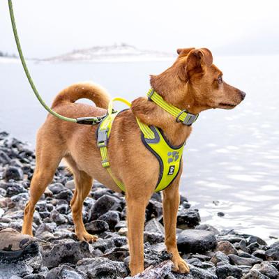 Hurtta Cane Guinzaglio Weekend Warrior ROPE  Corallo Mimetico