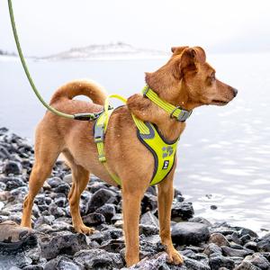 Hurtta Cane Guinzaglio Weekend Warrior ROPE Giallo Fluo 2