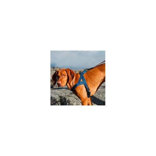 Hurtta Cane Pettorina Casual Blu Fiume