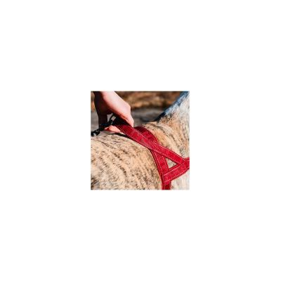 Hurtta Cane Pettorina Casual Blu Fiume