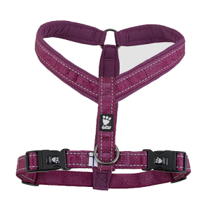 Hurtta Cane Pettorina Casual Y Viola Vinaccia