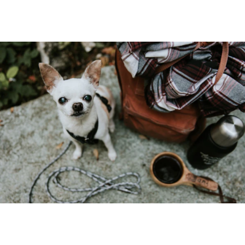 Hurtta Cane Pettorina Casual Y Nero