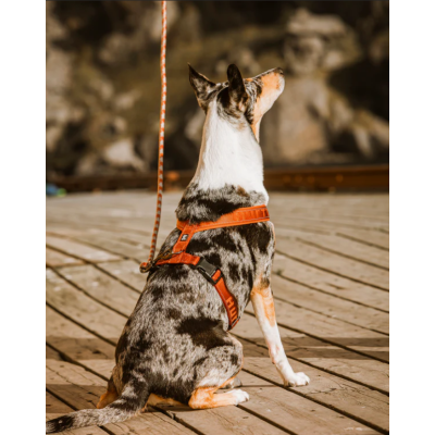 Hurtta Cane Pettorina Casual Y Nero