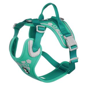 Hurtta Cane Pettorina Weekend Warrior Peacock