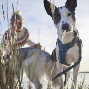 Hurtta Cane Pettorina Weekend Warrior Warming (Riscaldante) 2