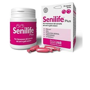 Senilife Plus 30 Capsule