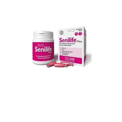 Senilife Plus 30 Capsule