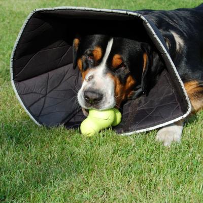 Collare Comfy Cone XSmall 11cm