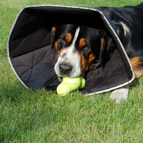 Collare Comfy Cone XSmall 11cm