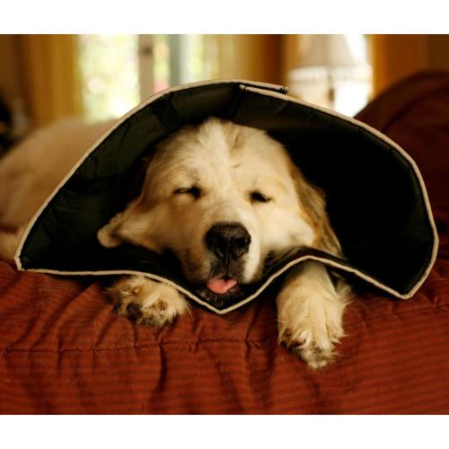 Collare Comfy Cone XSmall 11cm