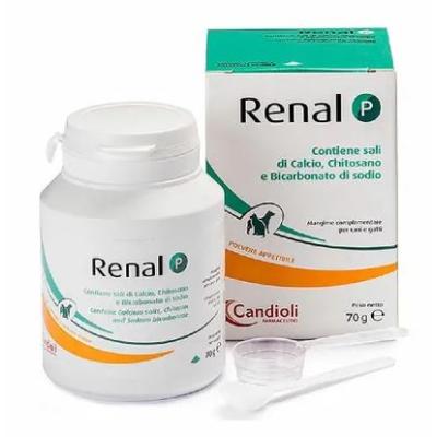 Renal P