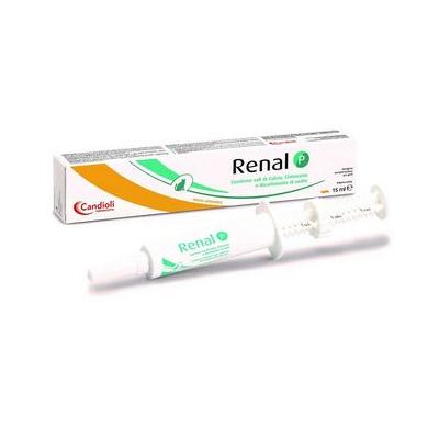 Renal P Pasta Gatti 15 ml