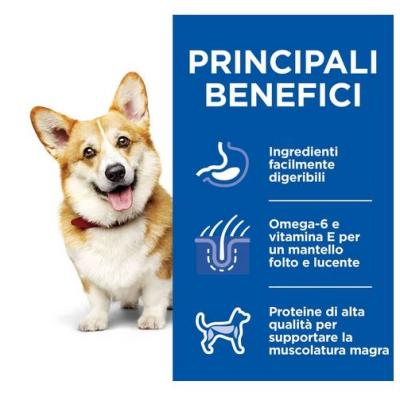 Hill's Canine Adult Small & Mini Multipack Pollo & Manzo Spezzatino cf. (12x80) gr