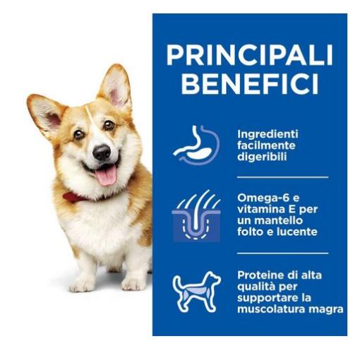 Hill's Canine Adult Small & Mini Multipack Pollo & Manzo Spezzatino cf. (12x80) gr