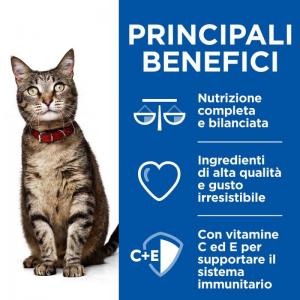 Hill's Feline Healthy Cusine Adulto Multipack Pollo & Salmone Spezzatino cf. (12x85) gr 2