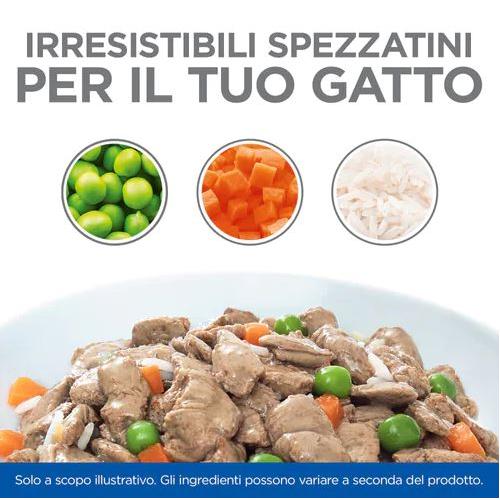 Hill's Feline Healthy Cusine Kitten Multipack Pollo & Pesce Oceanico Spezzatino cf. (12x80) gr