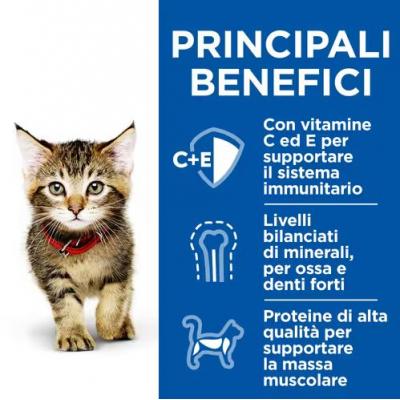 Hill's Feline Healthy Cusine Kitten Multipack Pollo & Pesce Oceanico Spezzatino cf. (12x80) gr