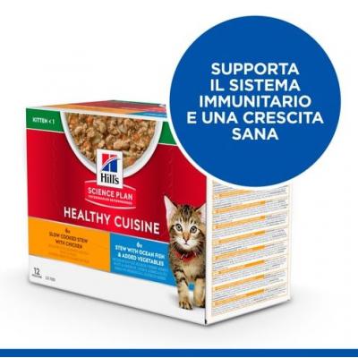 Hill's Feline Healthy Cusine Kitten Multipack Pollo & Pesce Oceanico Spezzatino cf. (12x80) gr