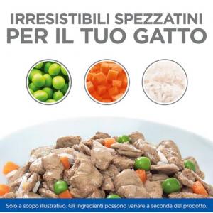 Hill's Feline Healthy Cusine Kitten Pollo Spezzatino Busta 80 gr 2