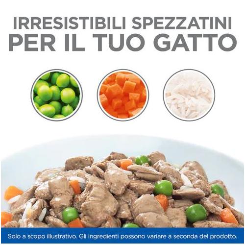 Hill's Feline Healthy Cusine Kitten Pollo Spezzatino Busta 80 gr