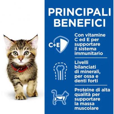Hill's Feline Healthy Cusine Kitten Pollo Spezzatino Busta 80 gr