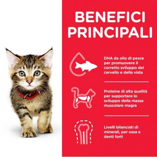 Hill's Feline Kitten Pollo