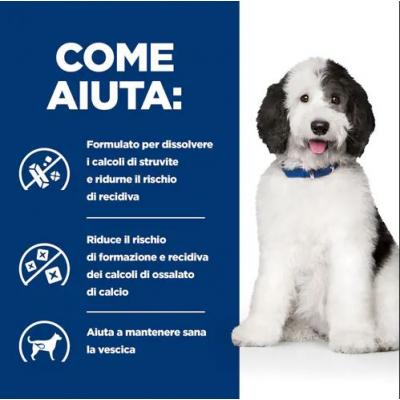 Hill's PD Cane C/D 370 Gr