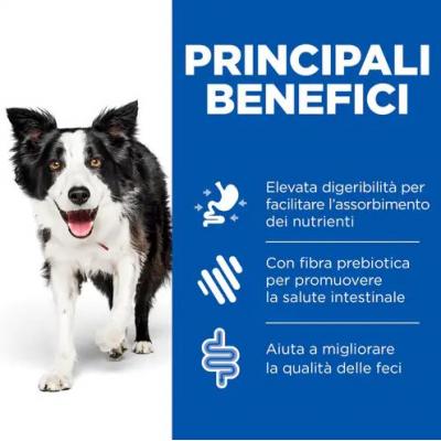 Hill's PD Canine I/D Low Fat Spezzatino 354 Gr