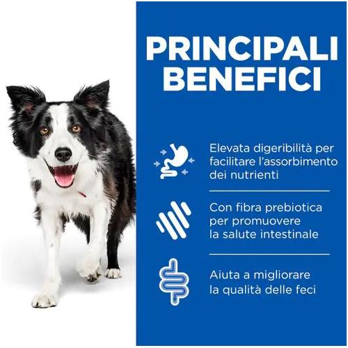 Hill's PD Canine I/D Low Fat Spezzatino 354 Gr