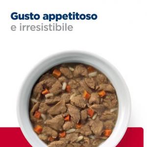 Hill's PD Cane I/D Mini Stress Spezzatino 156 Gr 2