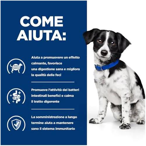 Hill's PD Cane I/D Mini Stress Spezzatino 156 Gr