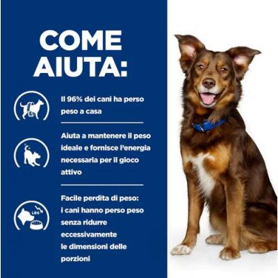 Hill's PD Cane Metabolic Spezzatino 354 Gr