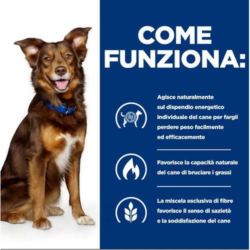 Hill's PD Cane Metabolic Spezzatino 354 Gr