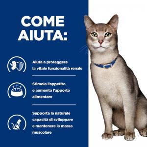 Hill's PD Gatto K/D Pollo 2