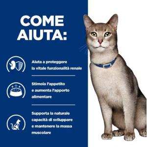 Hill's PD Gatto K/D Tonno 2