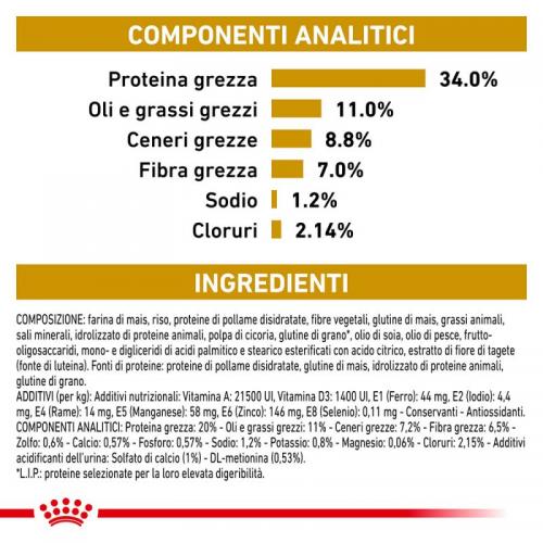 Royal Canin Cane Urinary S/O Moderate Calorie