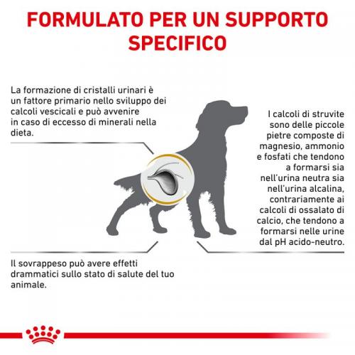 Royal Canin Cane Urinary S/O Moderate Calorie