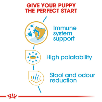 Royal Canin Cane Chihuahua Puppy