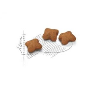 Royal Canin Gatto Kitten Sterilizzato 2