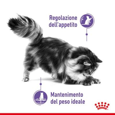 Royal Canin Gatto Appetite Control Busta In Gelatina 85 Gr